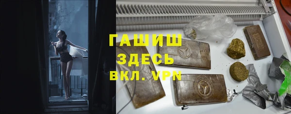 прущие грибы Алзамай