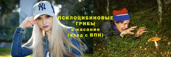 крисы Вязьма