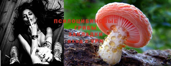 дмт Алексеевка