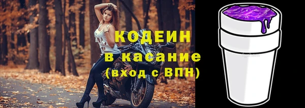 прущие грибы Алзамай